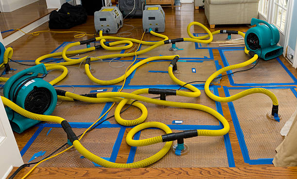 Professional Storm Water Damage Restoration technician working in Bethany, MO